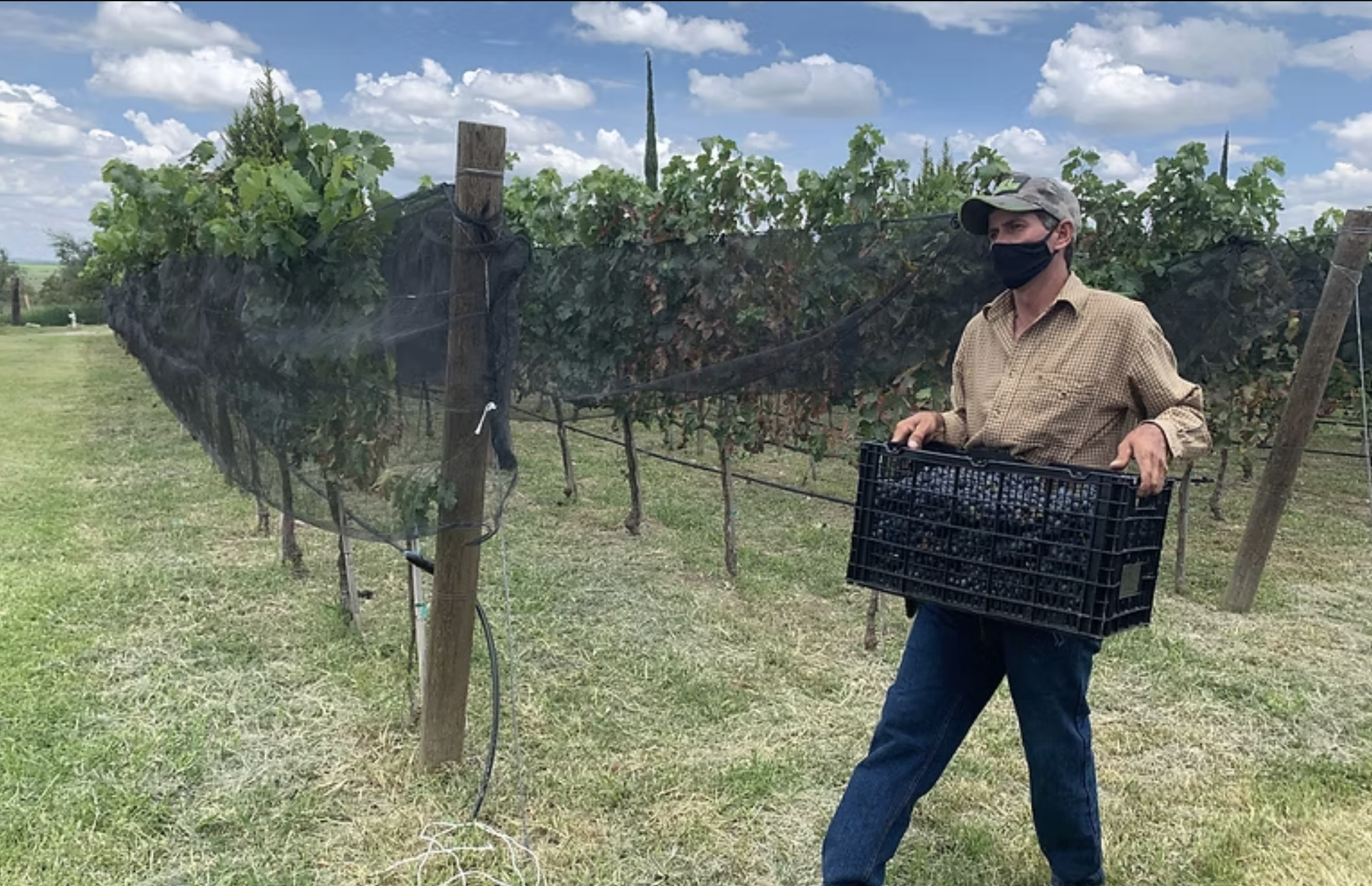 Altos Norte: Vinos que nacen de la tierra y regresan a ella